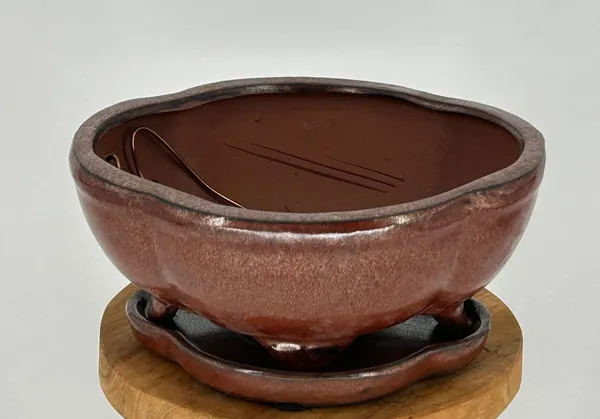 Aztec Orange Ceramic Bonsai Pot, Lotus Shape Attached Humidity/Drip tray 8.5" x 6.5" x 3.5"