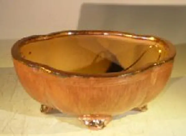 Aztec Orange Ceramic Bonsai Pot, Oval Lotus Shaped Professional Series 8.5" x 7.0" x 3.5"
