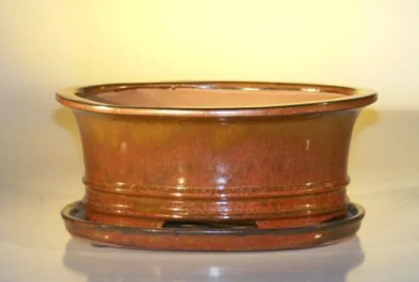 Aztec Orange Ceramic Bonsai Pot, Oval with Attached Humidity/Drip tray 10.75" x 8.5" x 4.125"
