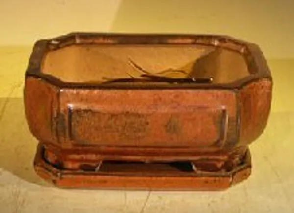 Aztec Orange Ceramic Bonsai Pot, Rectangle with attached Humidity/Drip tray 6.37" x 4.75" x 2.625"
