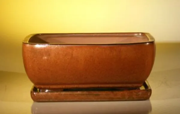 Aztec Orange Ceramic Bonsai Pot, Rectangle with Attached Humidity/Drip tray 10.5" x 8.0" x 4.5"