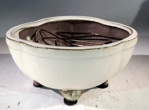 Beige Ceramic Bonsai Pot, Lotus Shaped Professional Series 6" x 4" x 2"