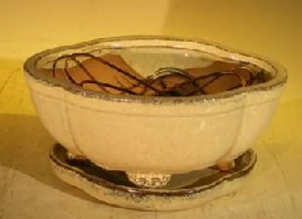 Beige Ceramic Bonsai Pot Lotus Shaped with Attached Humidity/Drip Tray 6.37" x 4.75" x 2.625"
