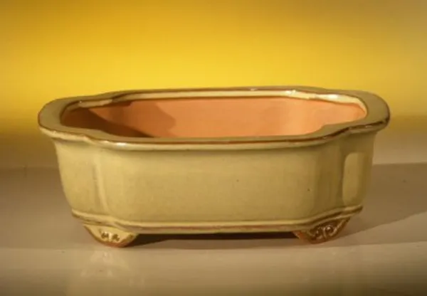 Beige Ceramic Bonsai Pot, Oval 8.0" x 6.0" x 2.5"