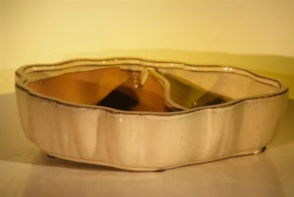 Beige Ceramic Bonsai Pot, Oval with Scalloped Edges, Land/Water Divider 8.75" x 6.0" x 3.0”