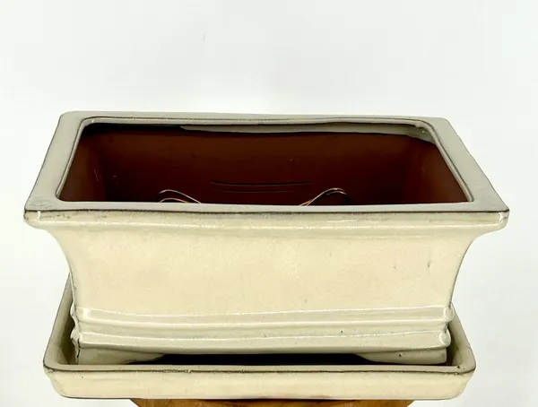 Beige Ceramic Bonsai Pot, Rectangle with Attached Humidity/Drip tray 10.5" x 8.25" x 4.75"
