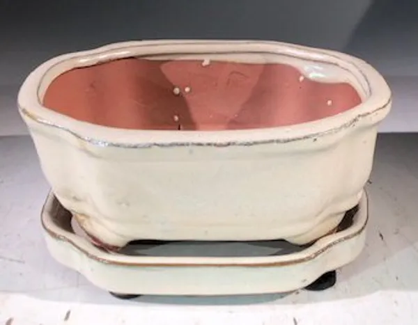 Beige Ceramic Bonsai Pot, Rectangle With Humidity Drip Tray 6" x 5" x 2.5"