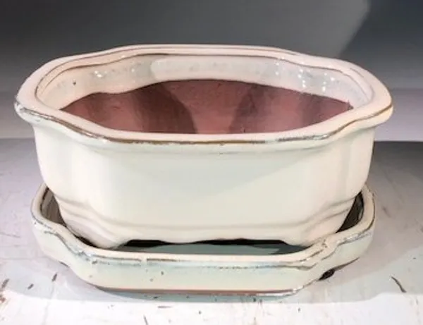 Beige Ceramic Bonsai Pot, Rectangle With Humidity Drip Tray 7" x 5.5" x 3"