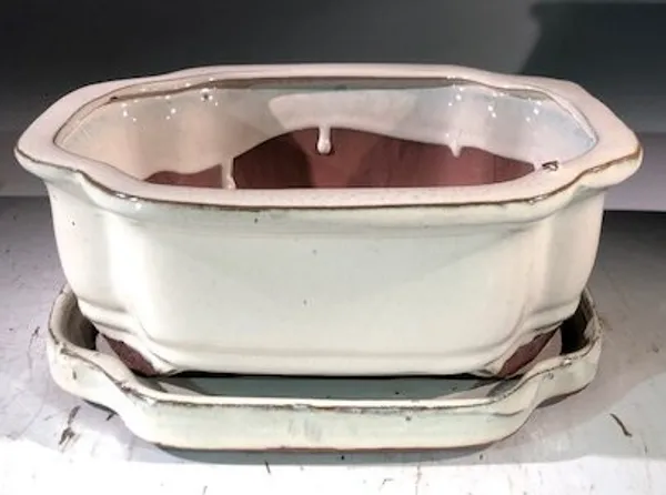Beige Ceramic Bonsai Pot, Rectangle With Humidity Drip Tray 8" x 6" x 3"