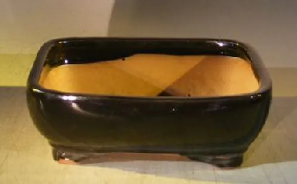 Black Ceramic Bonsai Pot, Rectangle 12.5" x 9.75" x 3.75"