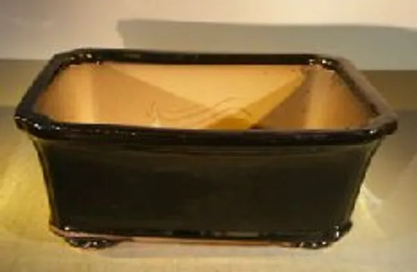 Black Ceramic Bonsai Pot, Rectangle Professional Series 12.5" x 10.5" x 4.5"