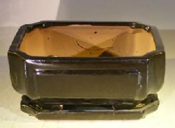 Black Ceramic Bonsai Pot, Rectangle With Attached Humidity/Drip Tray 8.5" x 6.75" x 4.0"