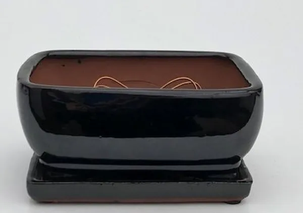 Black Ceramic Bonsai Pot, Rectangle With Attached Humidity/Drip Tray 8.25" x 6.0" x 4.0"