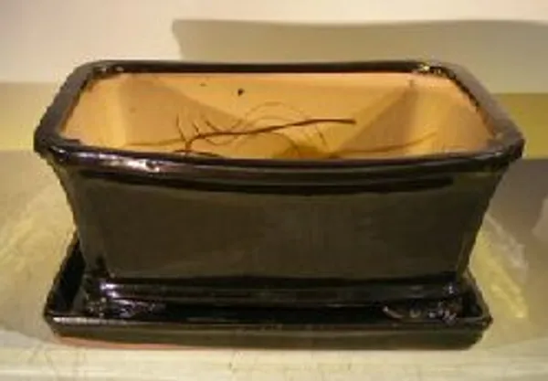 Black Ceramic Bonsai Pot, Rectangle with Attached Humidity/Drip Tray 10.0" x 9.0" x 4.5"