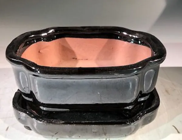 Black Ceramic Bonsai Pot, Rectangle With Humidity Drip Tray 6" x 4.5" x 2.5"