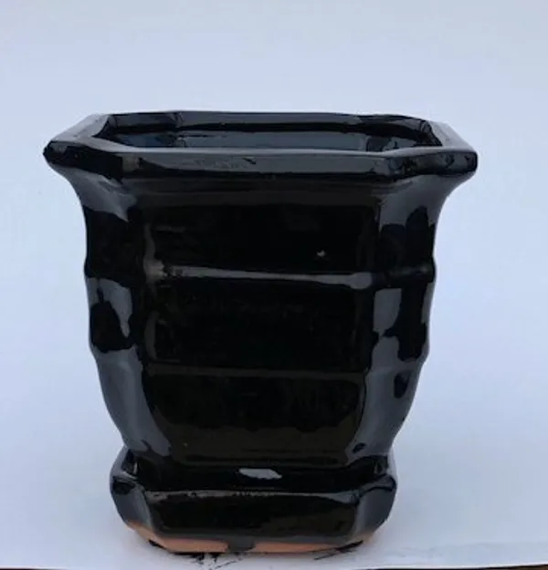 Black Ceramic Bonsai Pot, Square With Attached Humidity / Drip Tray 5.5" x 5.5" x 5.5"