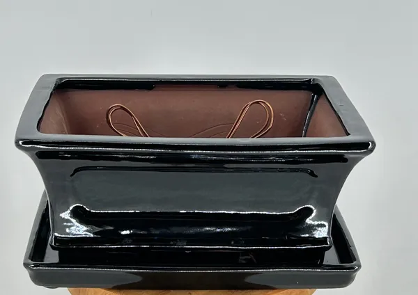 Black Ceramic Bonsai Pot With Attached Humidity/Drip tray, Rectangle 10.25" x 8.25" x 4.5"