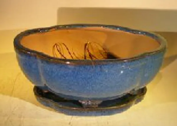 Blue Ceramic Bonsai Pot, Lotus Shape Attached Humidity/Drip Tray Professional Series 10.5" x 9.0" x 5.0"