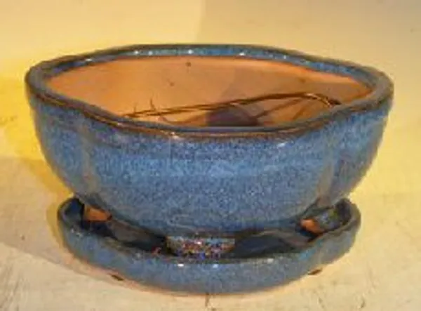 Blue Ceramic Bonsai Pot, Lotus Shape with Attached Humidity/Drip Tray 6.37" x 4.75" x 2.625