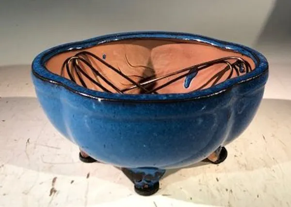 Blue Ceramic Bonsai Pot, Lotus Shaped Professional Series 6" x 4" x 2"