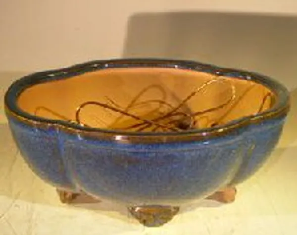 Blue Ceramic Bonsai Pot Oval Lotus Shaped Professional Series 8.25" x 7.25" x 3.5"