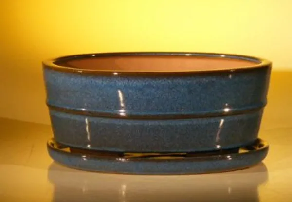 Blue Ceramic Bonsai Pot, Oval Professional Series with Attached Humidity/Drip tray 10.0" x 7.5" x 4.5"