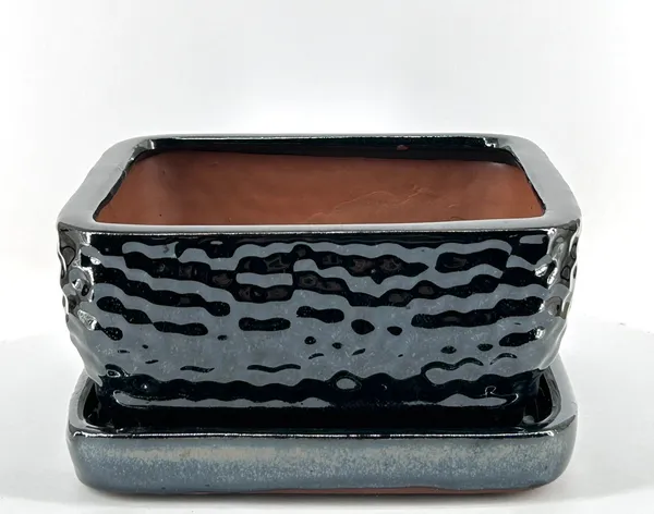 Crackle Black Square Ceramic Bonsai Pot With Humidity / Drip Tray