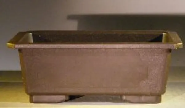 Dark Brown Bonsai Training Pot, Rectangle Heavy Duty Plastic, Taller Profile 9.5" x 6.5" x 3.5"