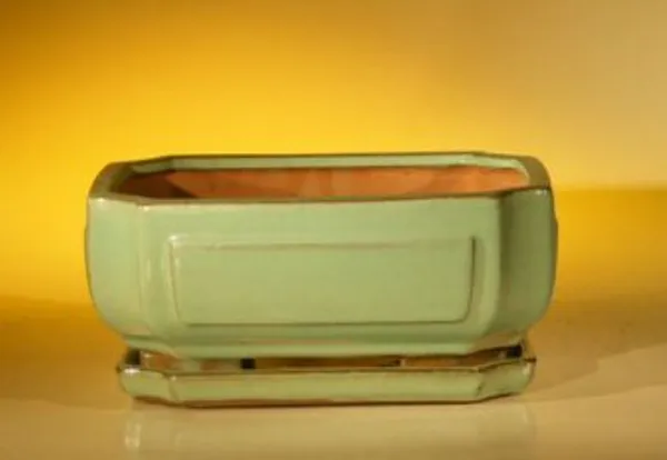 Light Green Ceramic Bonsai Pot, Rectangle With Attached Humidity/Drip tray 8.5" x 6.5" x 3.5"