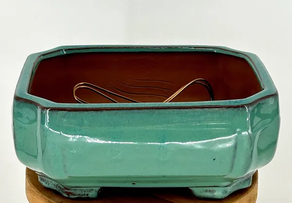 Light Green Ceramic Bonsai Pot Rectangle with Indented Corners Professional Series 8.25" x 6.75" x 3.5"