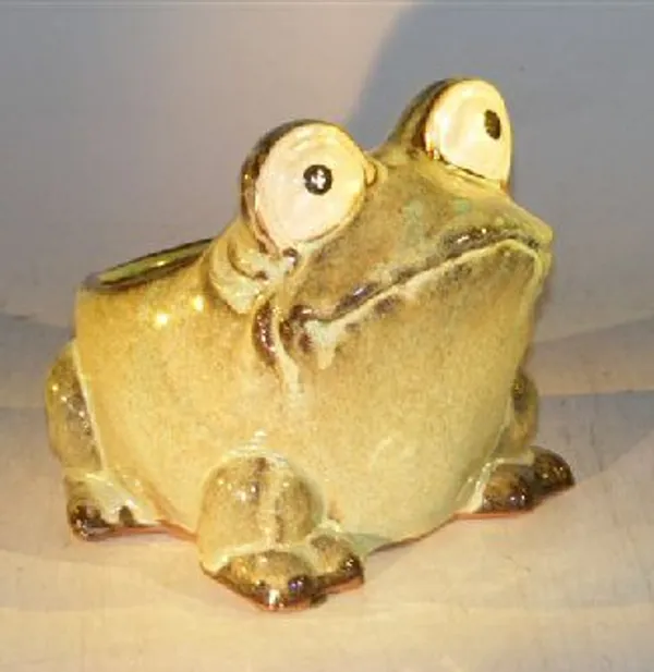 Light Green Frog Planter 7.0" x 9.0" x 7.5"