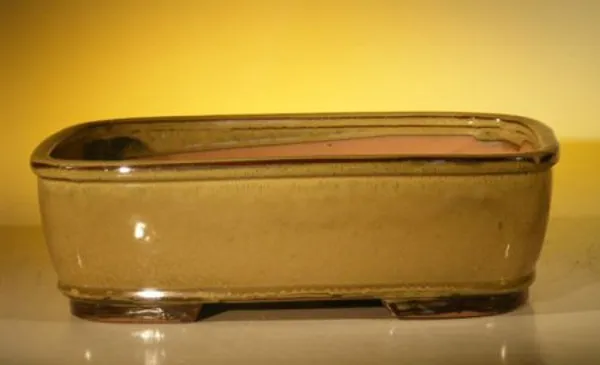 Olive Green Ceramic Bonsai Pot, Rectangle 12.0" x 9.5" x 3.375"
