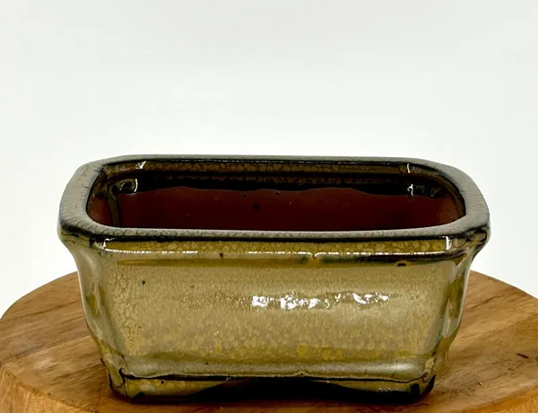 Olive Green Ceramic Bonsai Pot Rectangle 5.25" x 4.0" x 2.25"