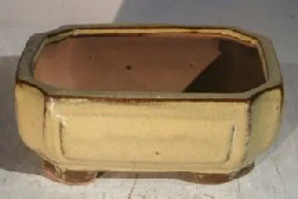 Olive Green Ceramic Bonsai Pot, Rectangle 6.125" x 5.0" x 2.125"