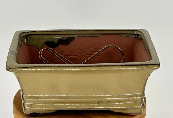 Olive Green Ceramic Bonsai Pot, Rectangle Professional Series 8.25" x 6.25" x 3.25"