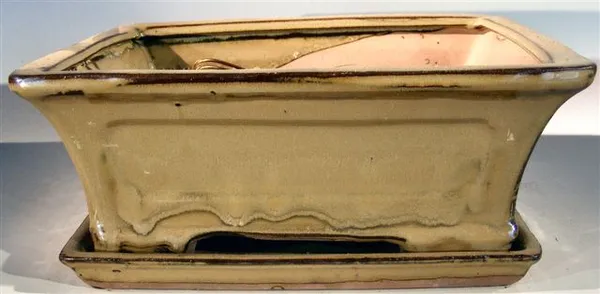 Olive Green Ceramic Bonsai Pot, Rectangle with Attached Humidity/Drip Tray 10.25" x 8.0" x 4.125"