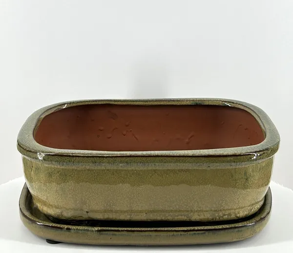 Olive Green Rectangle Ceramic Bonsai Pot With Humidity Drip Tray