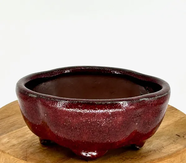 Parisian Red Ceramic Bonsai Pot Lotus Shaped 5.25" x 4.0" x 2.25"
