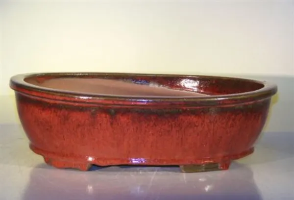 Parisian Red Ceramic Bonsai Pot, Oval 14.0" x 11.0" x 4.0"