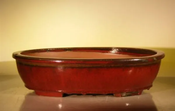 Parisian Red Ceramic Bonsai Pot, Oval 16.0" x 12.5" x 4.0"