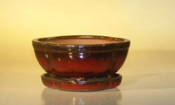 Parisian Red Ceramic Bonsai Pot, Oval Attached Humidity/Drip Tray 6.37" x 4.75" x 2.625"
