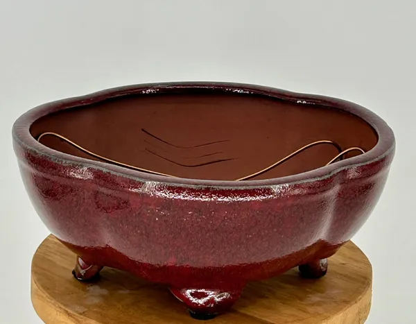 Parisian Red Ceramic Bonsai Pot, Oval Lotus Shaped Professional Series 8.5" x 7.0" x 3.5"