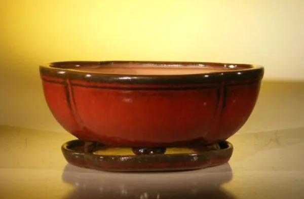 Parisian Red Ceramic Bonsai Pot, Oval / Lotus Shaped with Drip Tray 10.75" x 8.5" x 4.125"