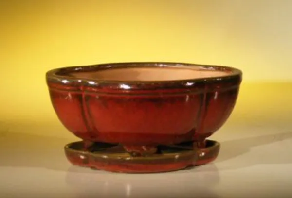 Parisian Red Ceramic Bonsai Pot, Oval with Attached Humidity/Drip tray 8.5" x 6.5" x 3.5"