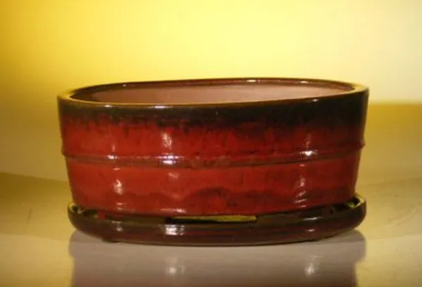 Parisian Red Ceramic Bonsai Pot, Oval with Attached Humidity/Drip Tray 10.75" x 8.5" x 4.125"