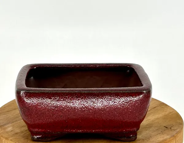 Parisian Red Ceramic Bonsai Pot Rectangle 5.25" x 3.75" x 2"