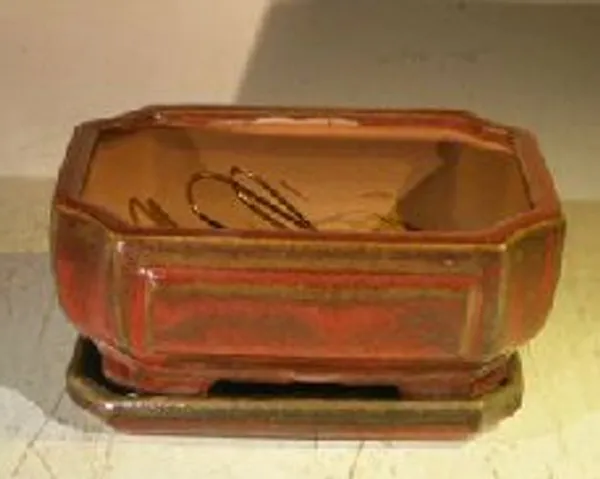 Parisian Red Ceramic Bonsai Pot, Rectangle with Attached Humidity/Drip tray 6.37" x 4.75" x 2.625"