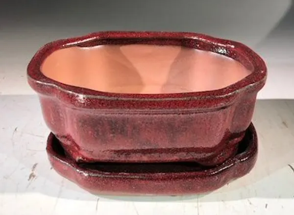 Parisian Red Ceramic Bonsai Pot, Rectangle With Humidity Drip Tray 6" x 4.5" x 2.5"