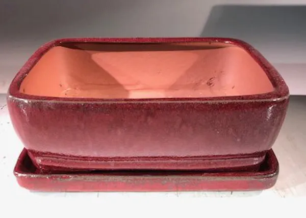 Parisian Red Ceramic Bonsai Pot, Rectangle With Humidity Drip Tray 8" x 6" x 3"
