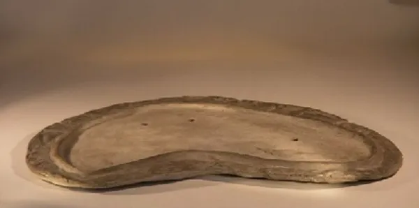 Rock Planting Slab, Medium 18" x 10.5" x 1"